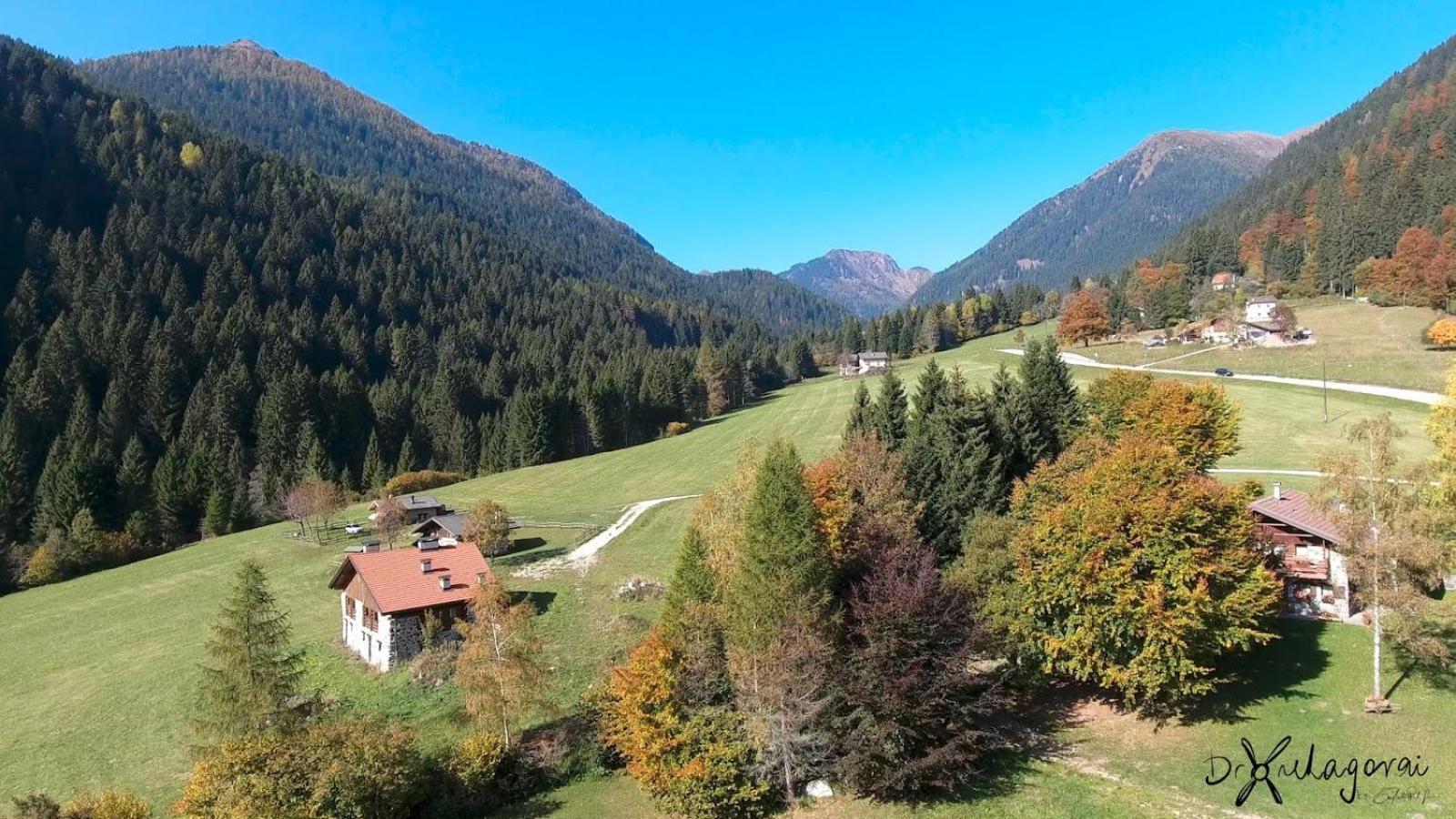 Chalet Al Maso Val Calamento Telve Exteriör bild